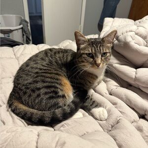 Meet your Posher, Richelle